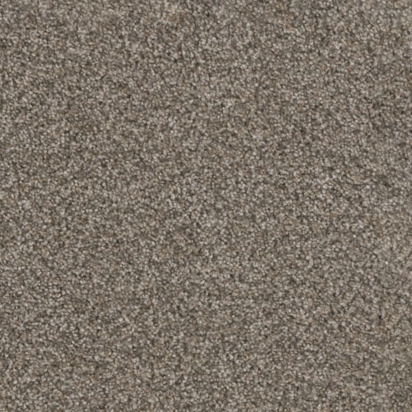 DreamWeaver Trendsetter I — Sageview carpet swatch