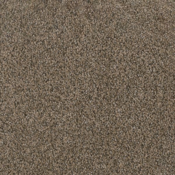 DreamWeaver Trendsetter I — Smokey Taupe carpet swatch