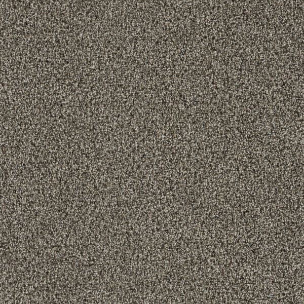 DreamWeaver Trendsetter I — Trail Creek carpet swatch