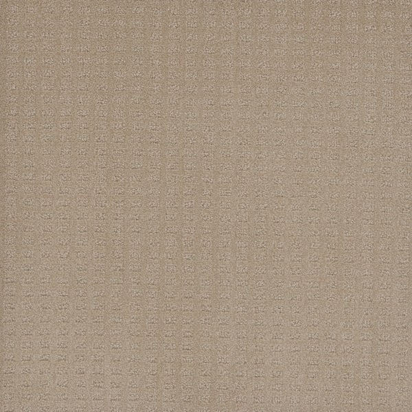 DreamWeaver Superb — Soft Pine carpet swatch