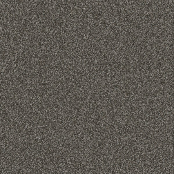 DreamWeaver Titan III — Pinehurst carpet swatch