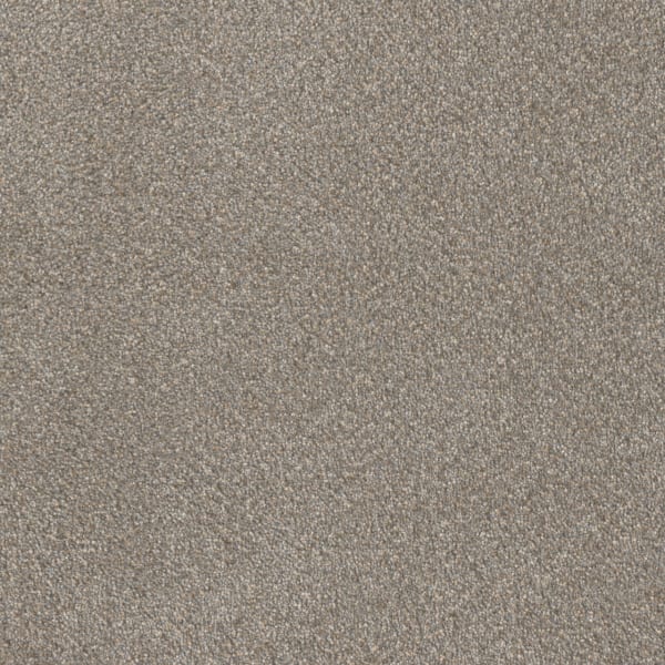 DreamWeaver Star Struck — Ancient Marble carpet swatch
