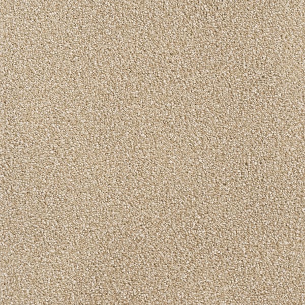 DreamWeaver Star Struck — Sawgrass carpet swatch