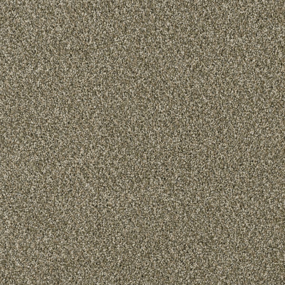 Acclaim - Sienna Sand