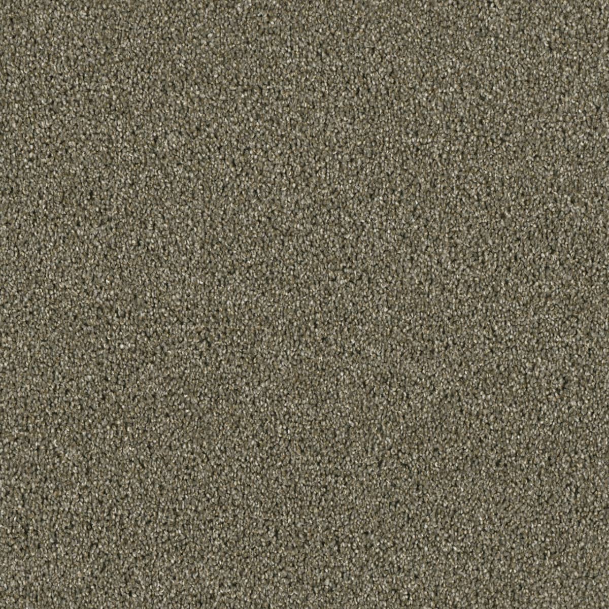 Color Name/ID: undefined undefined