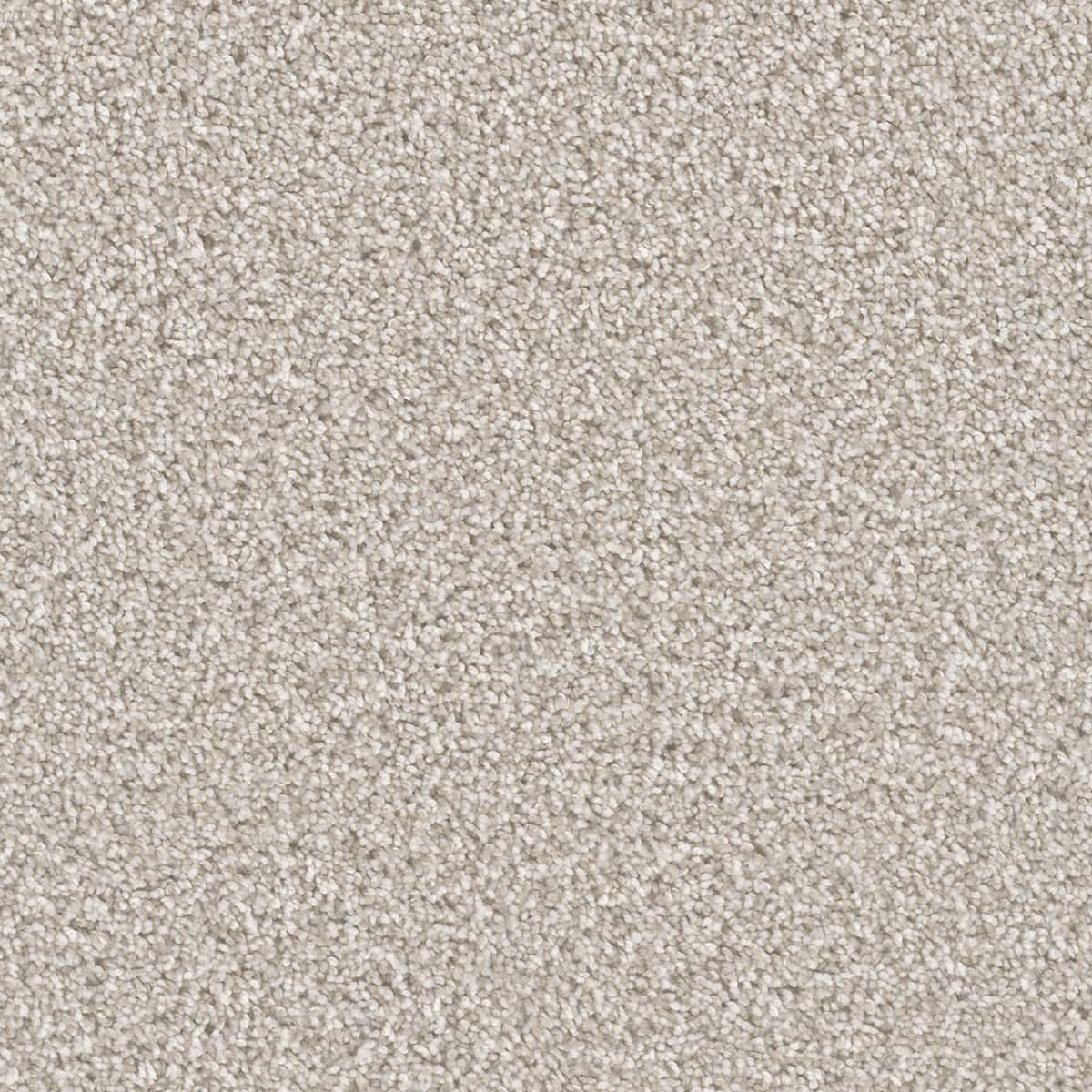 DreamWeaver Cant Miss — Porcelain carpet swatch
