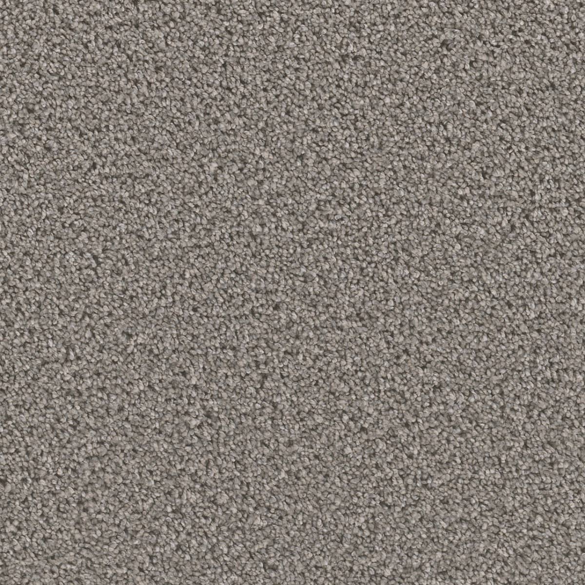 DreamWeaver Cant Miss — Orion carpet swatch
