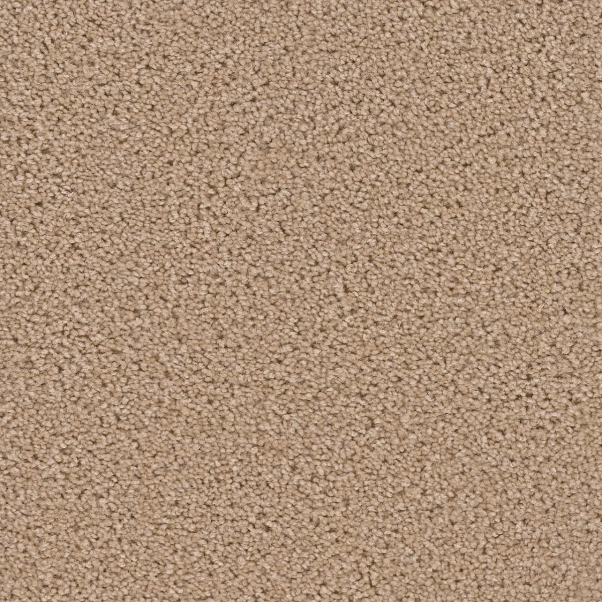 DreamWeaver Broadcast — Raffia carpet swatch
