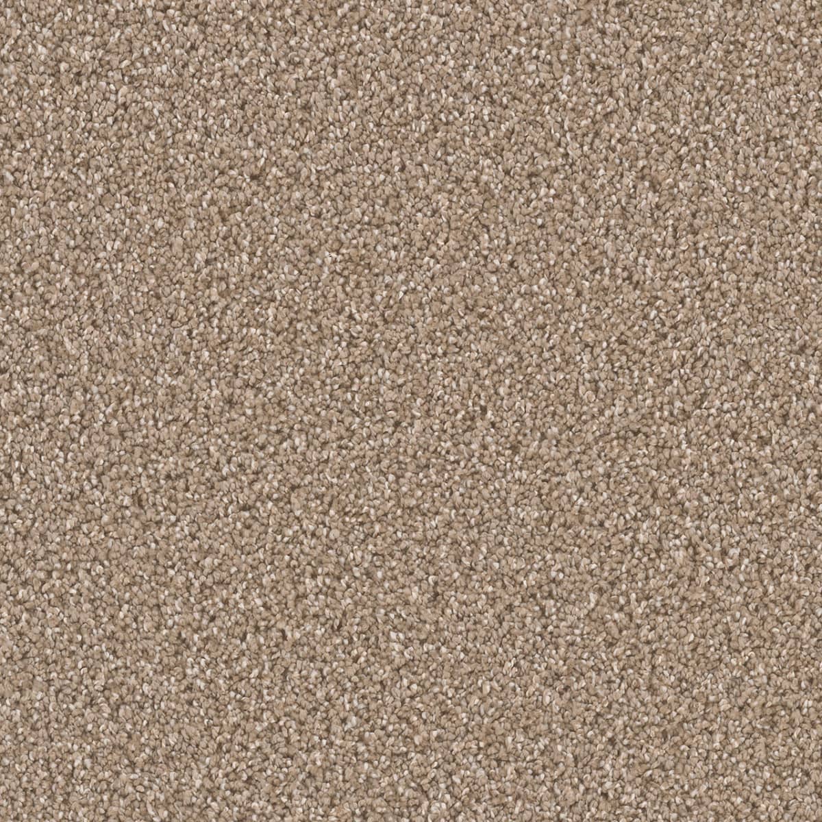 DreamWeaver Cant Miss — Acorn carpet swatch