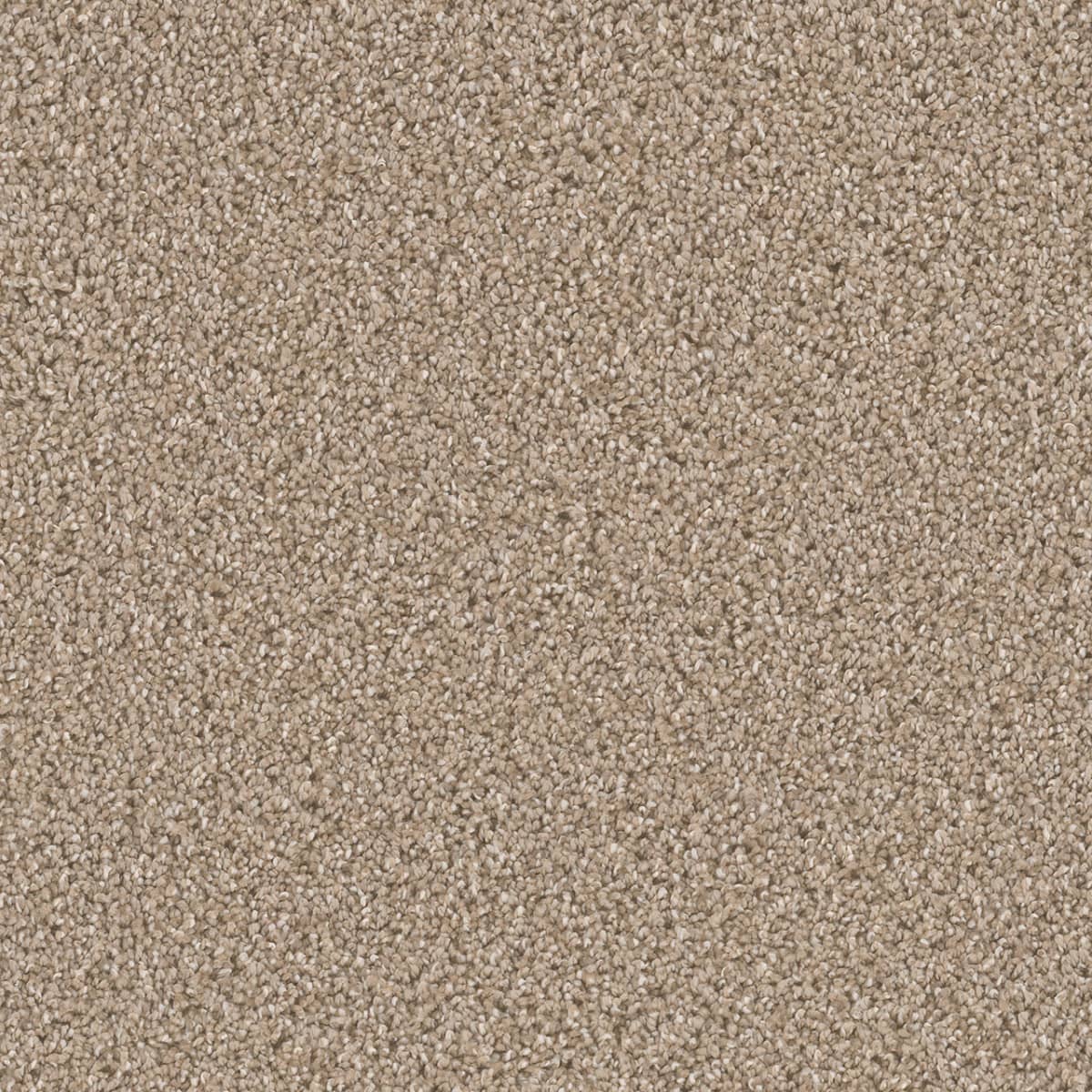 DreamWeaver Cant Miss — Tumbleweed carpet swatch