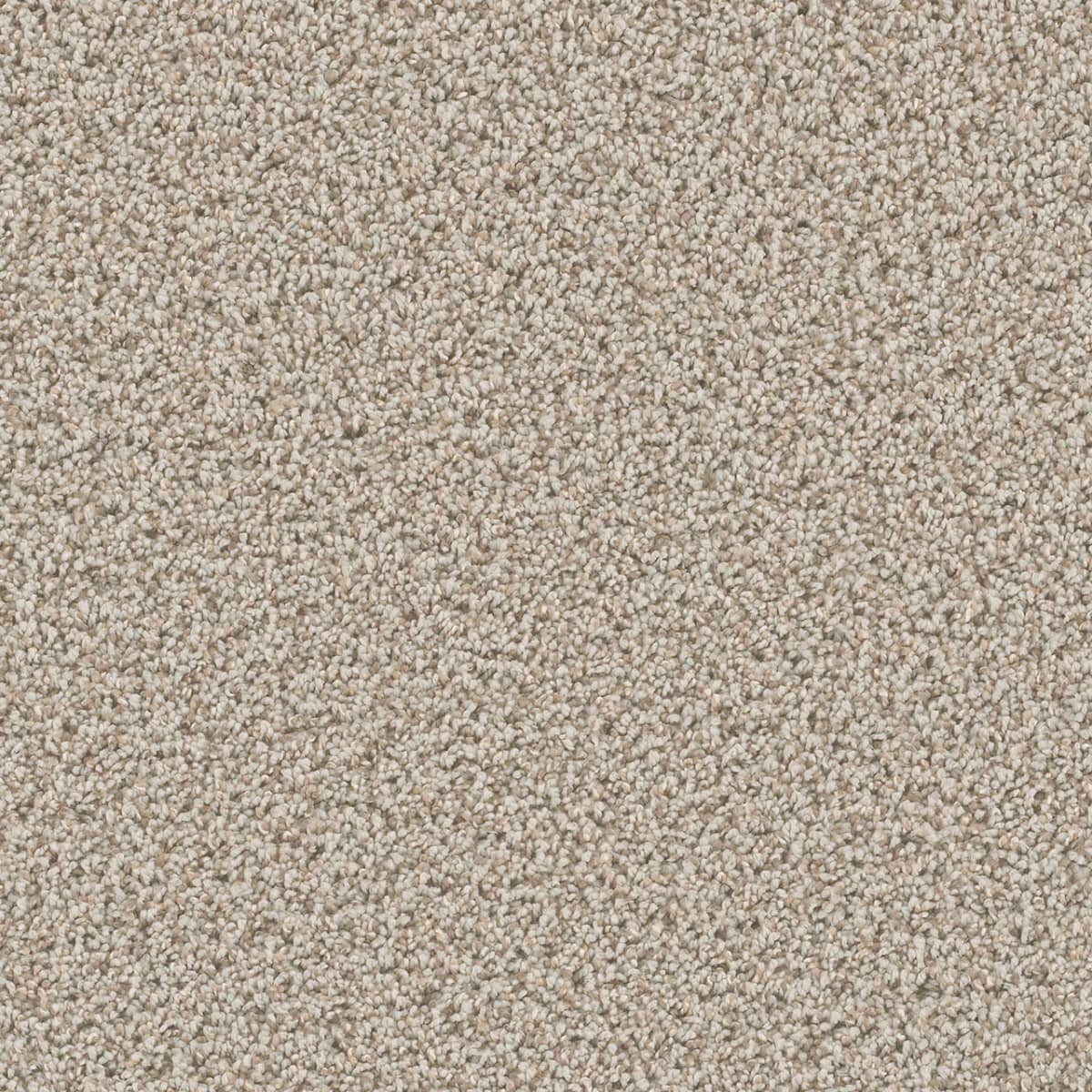 DreamWeaver Cant Miss — Stucco carpet swatch