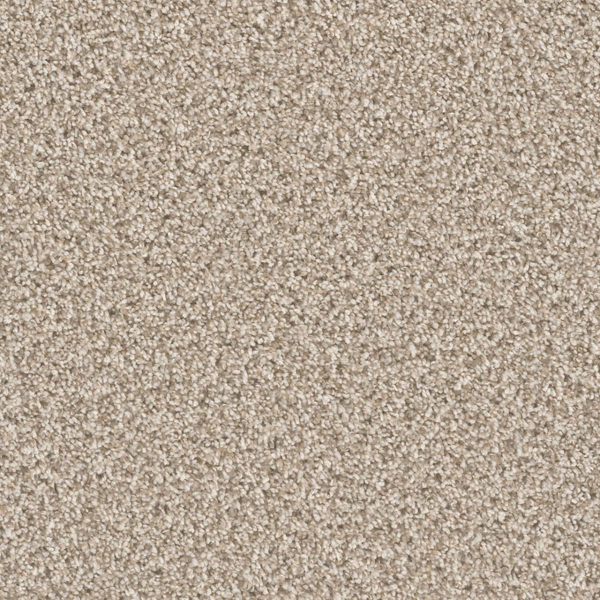 DreamWeaver Cant Miss — Seashells carpet swatch