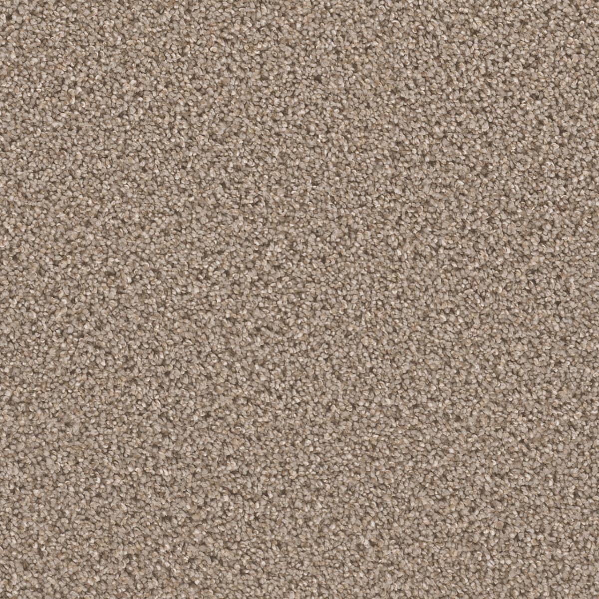 DreamWeaver Cant Miss — Ash carpet swatch