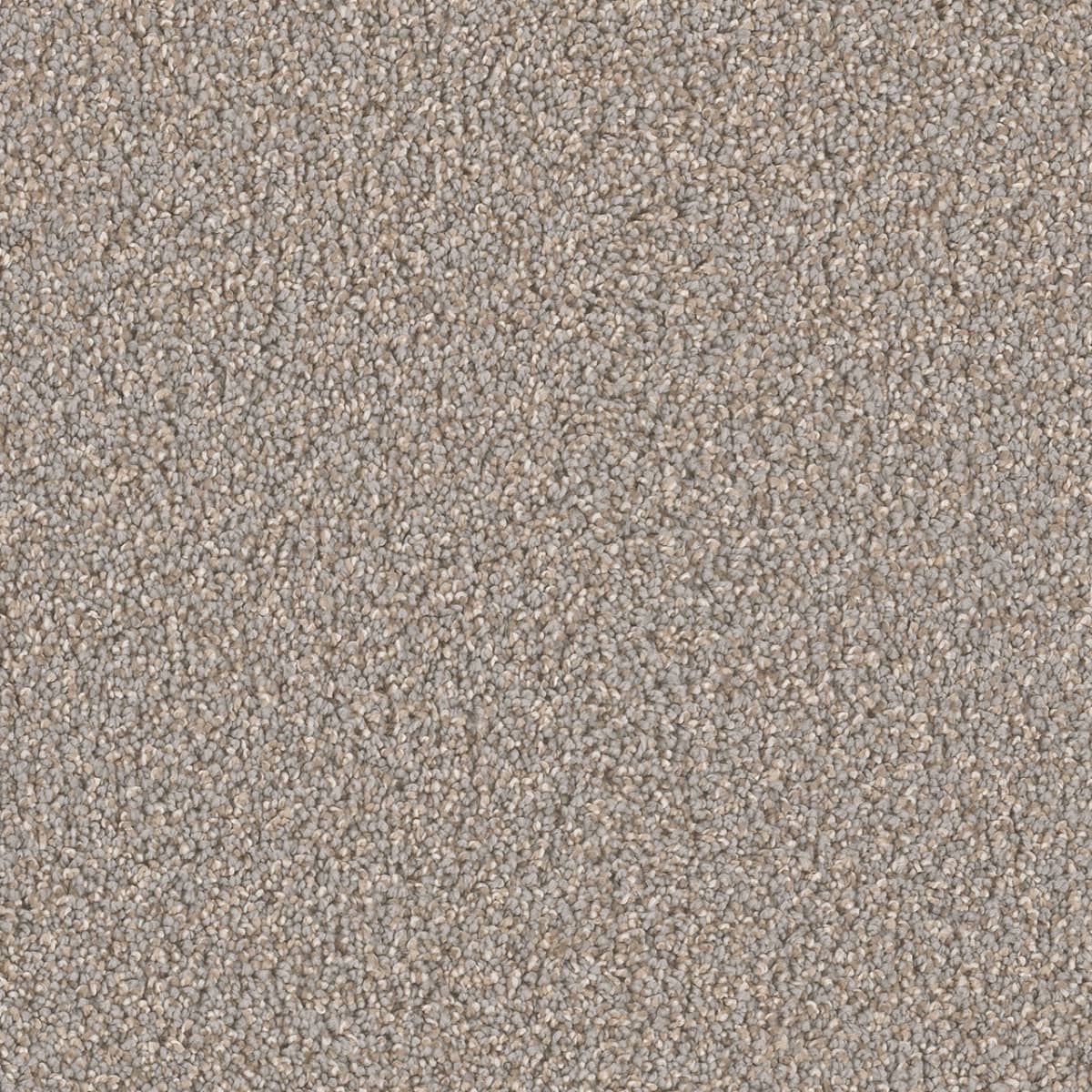 DreamWeaver Cant Miss — Shadows carpet swatch