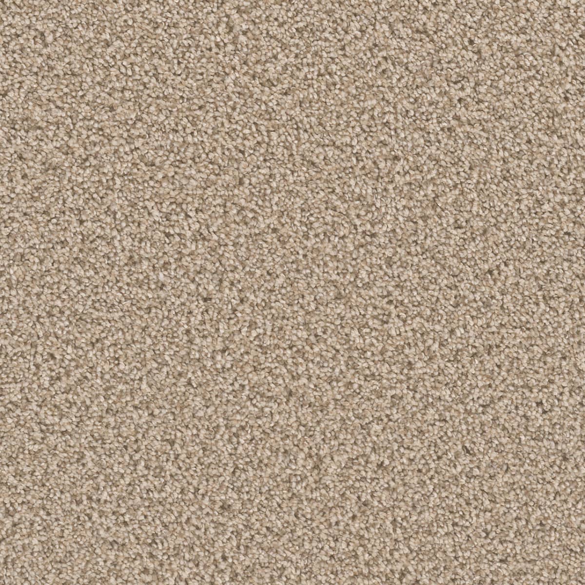 DreamWeaver Cant Miss — Linen carpet swatch
