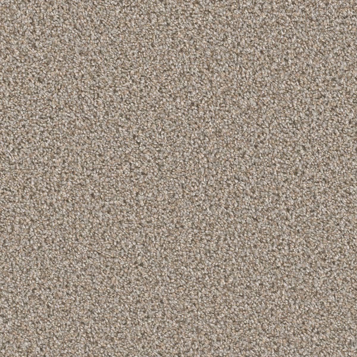 DreamWeaver Cant Miss — Iron Frost carpet swatch