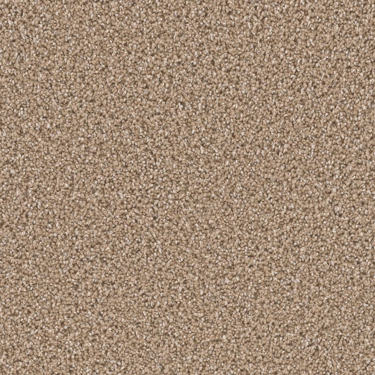 DreamWeaver Cant Miss — Wicker carpet swatch