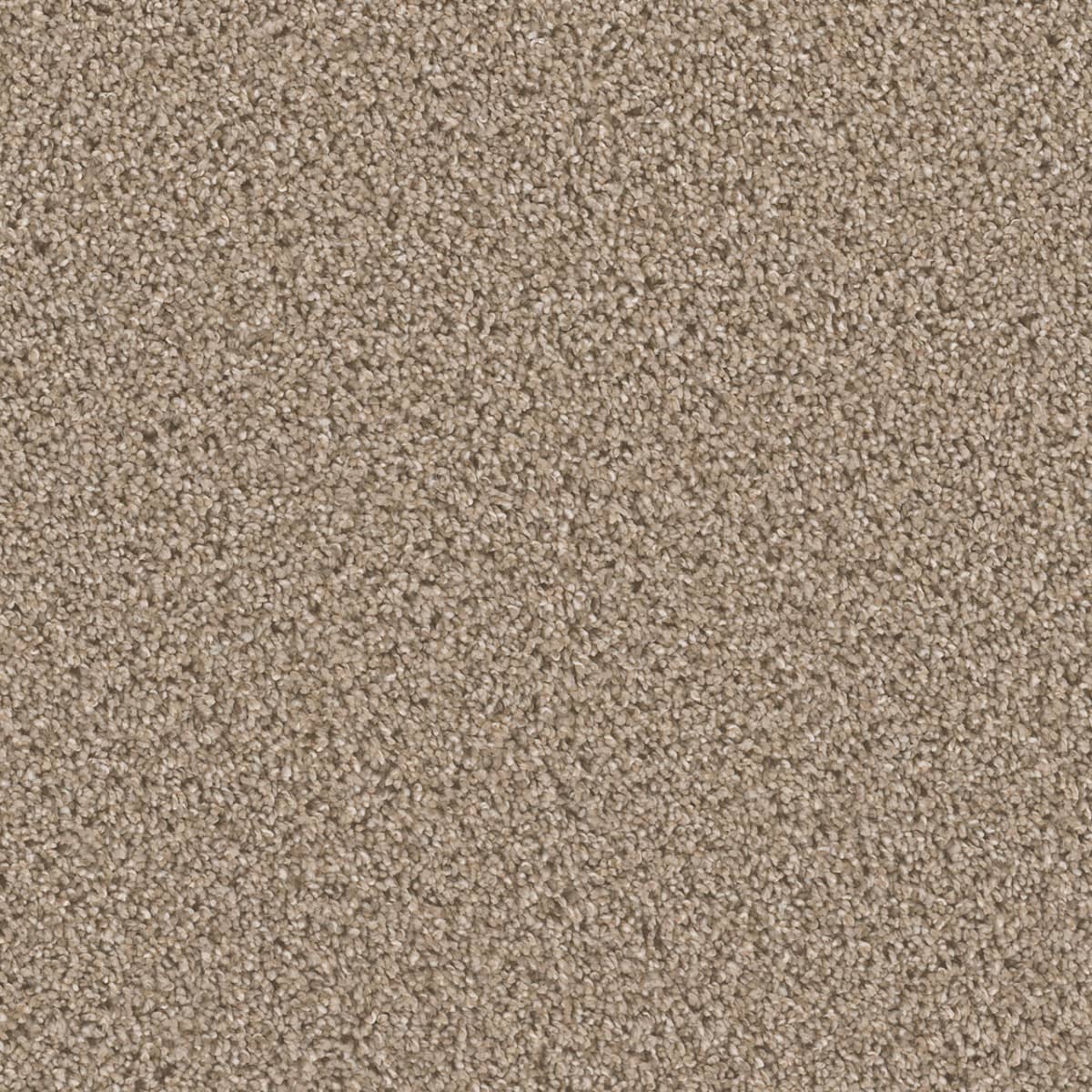 DreamWeaver Cant Miss — Mocha carpet swatch