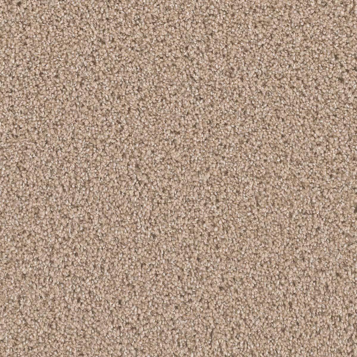 DreamWeaver Cant Miss — Ginger carpet swatch