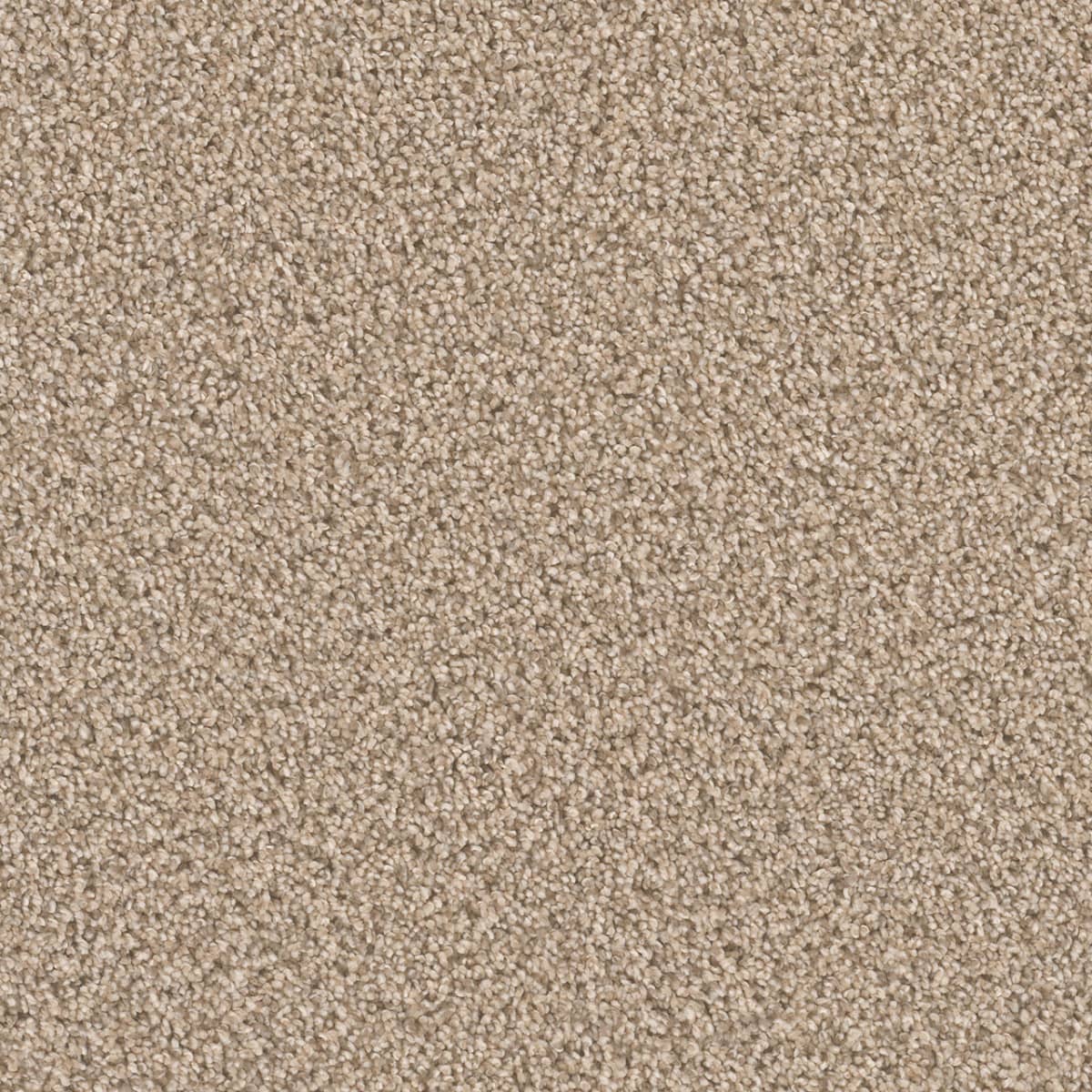 DreamWeaver Cant Miss — Oxford carpet swatch