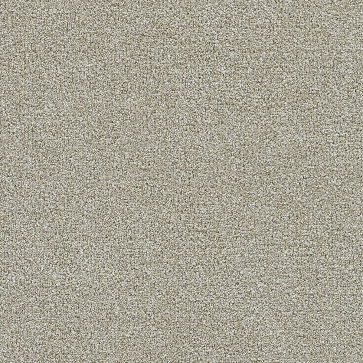 DreamWeaver Broadcast — Flattery carpet swatch