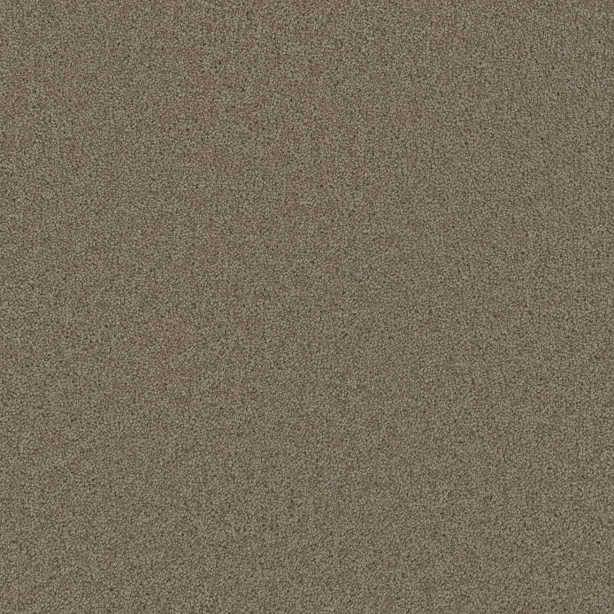 DreamWeaver Broadcast — Doeskin carpet swatch