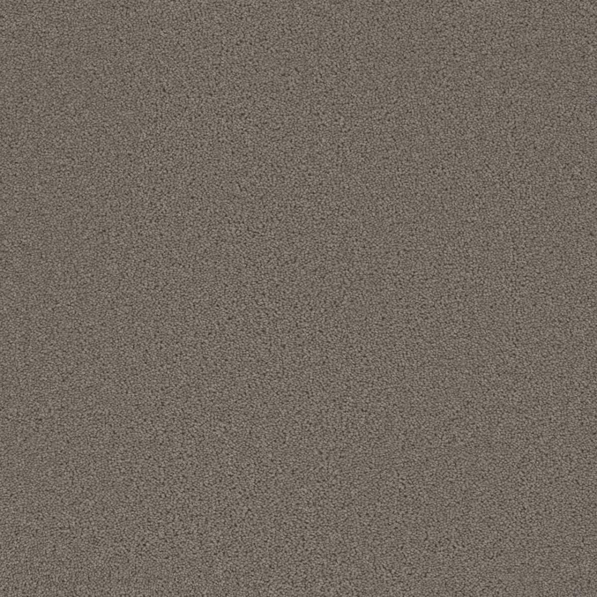 DreamWeaver Broadcast — Castle carpet swatch