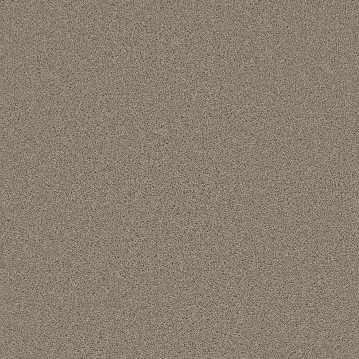 DreamWeaver Broadcast — Flax Beige carpet swatch
