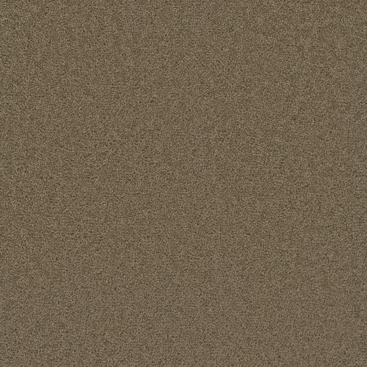 DreamWeaver Broadcast — Honey Beige carpet swatch