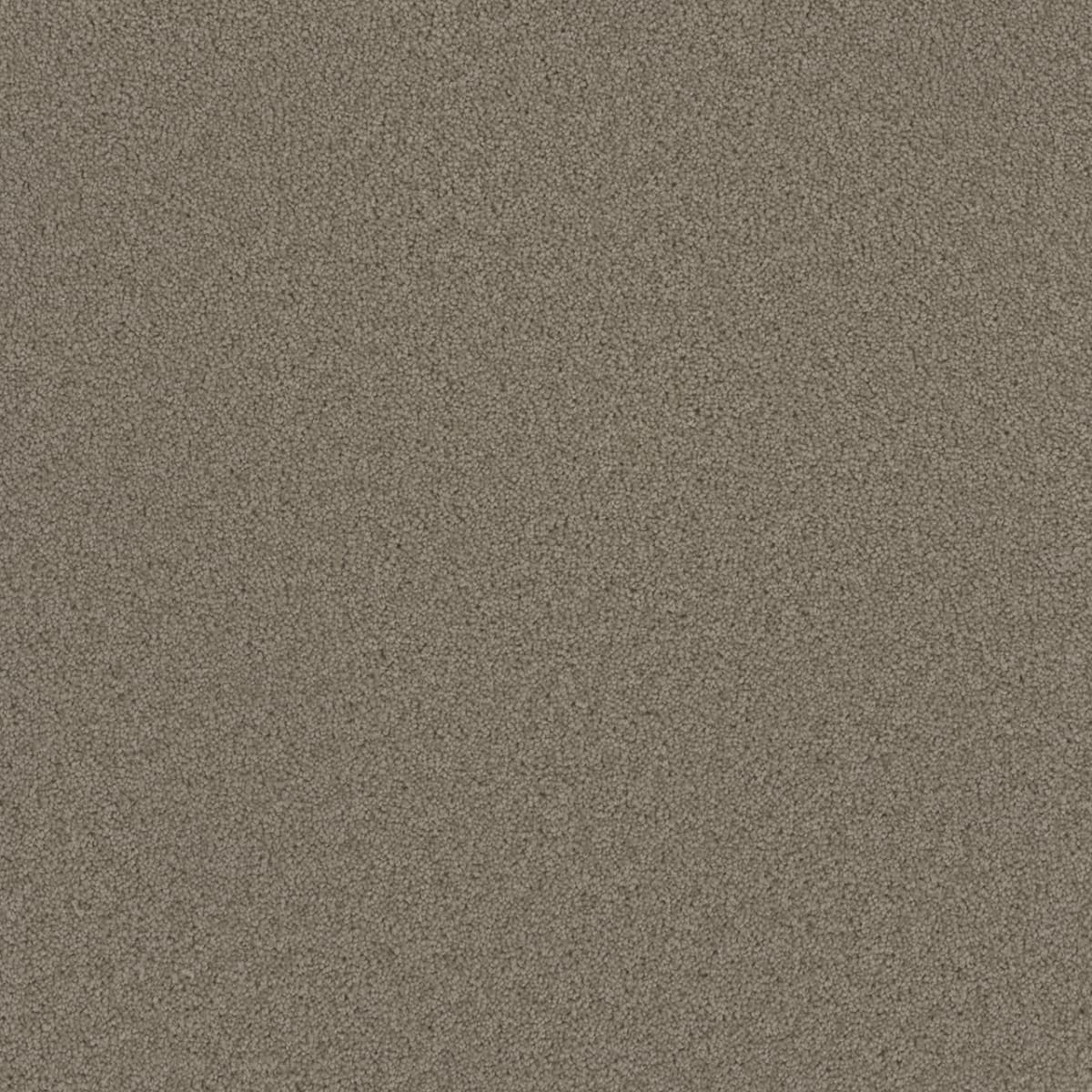DreamWeaver Broadcast — Ash carpet swatch
