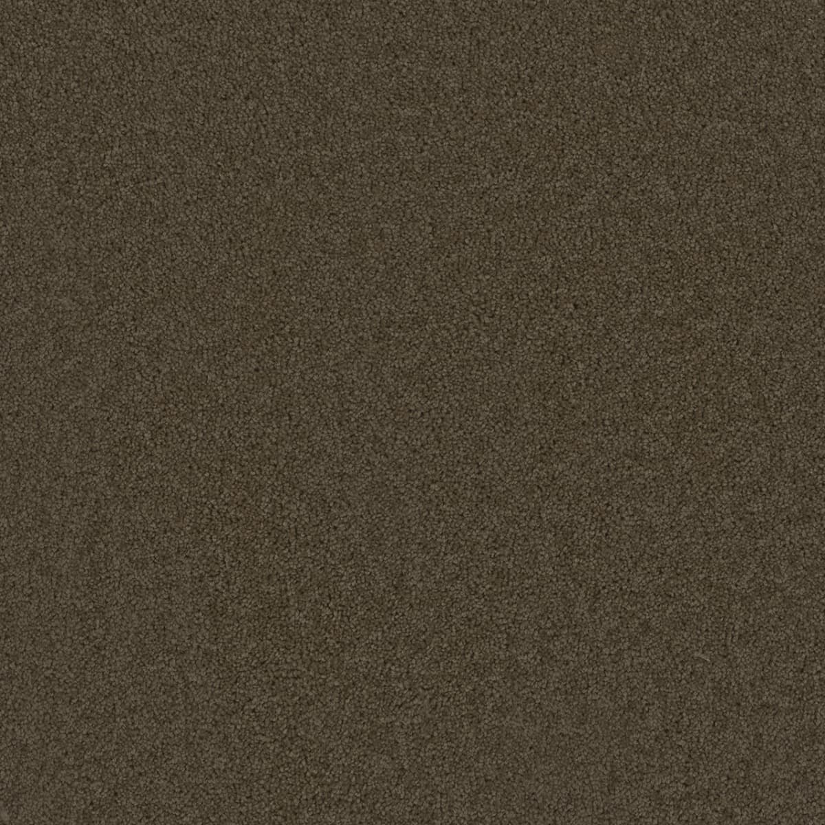 DreamWeaver Broadcast — Latte carpet swatch