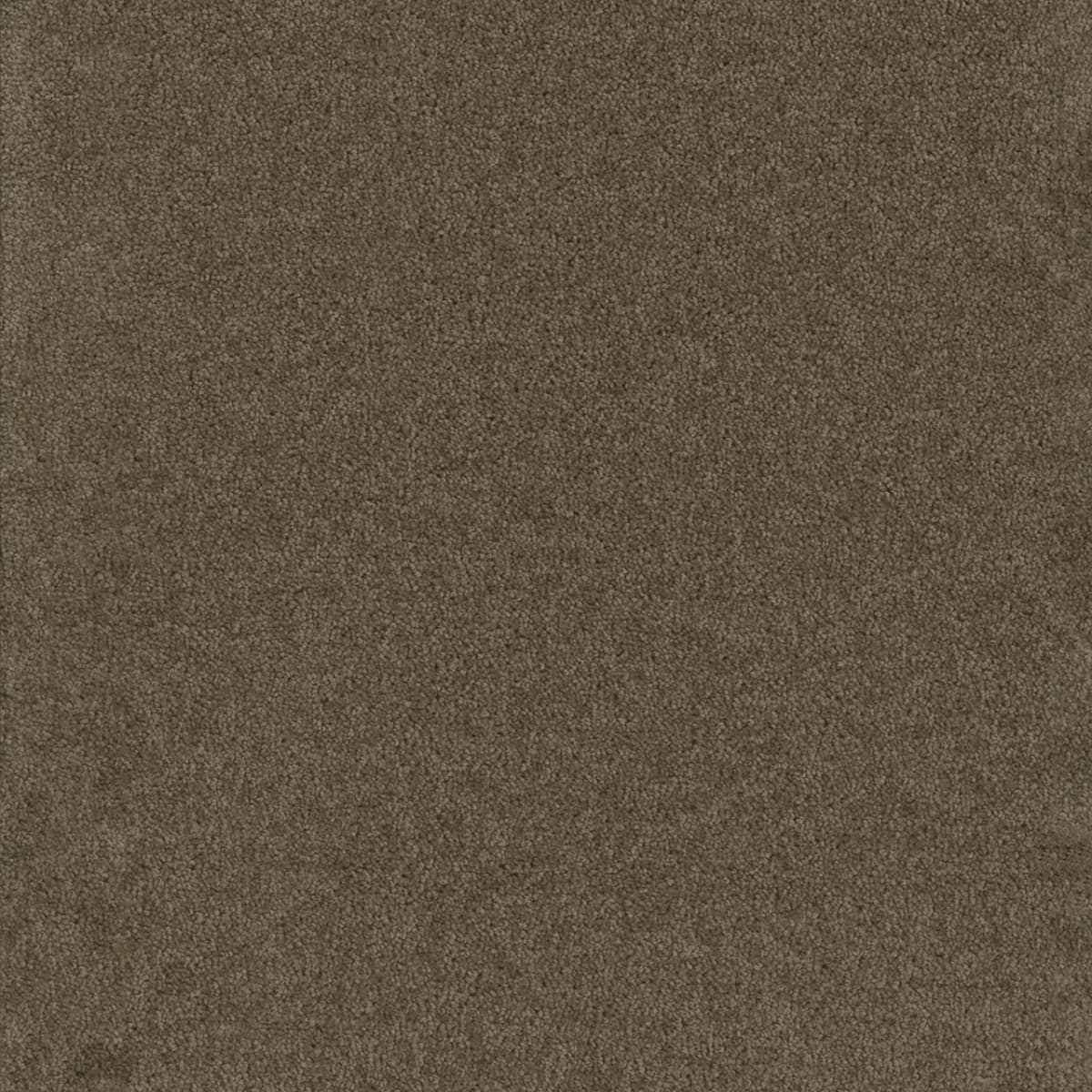 DreamWeaver Broadcast — Balsam carpet swatch