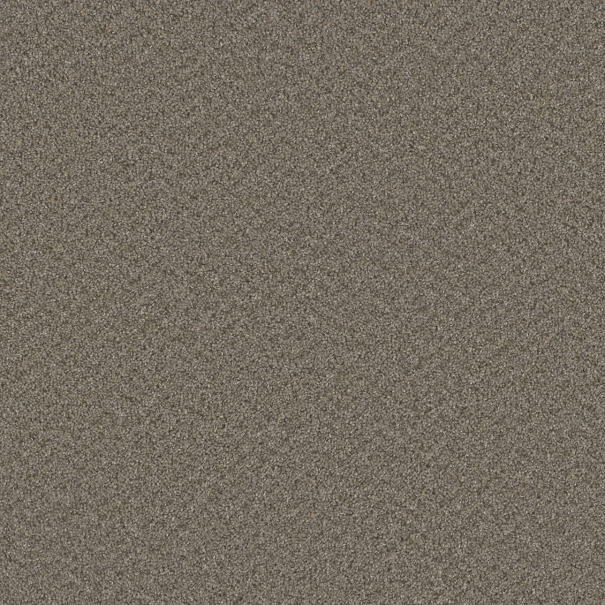 Broadcast — Cinder swatch