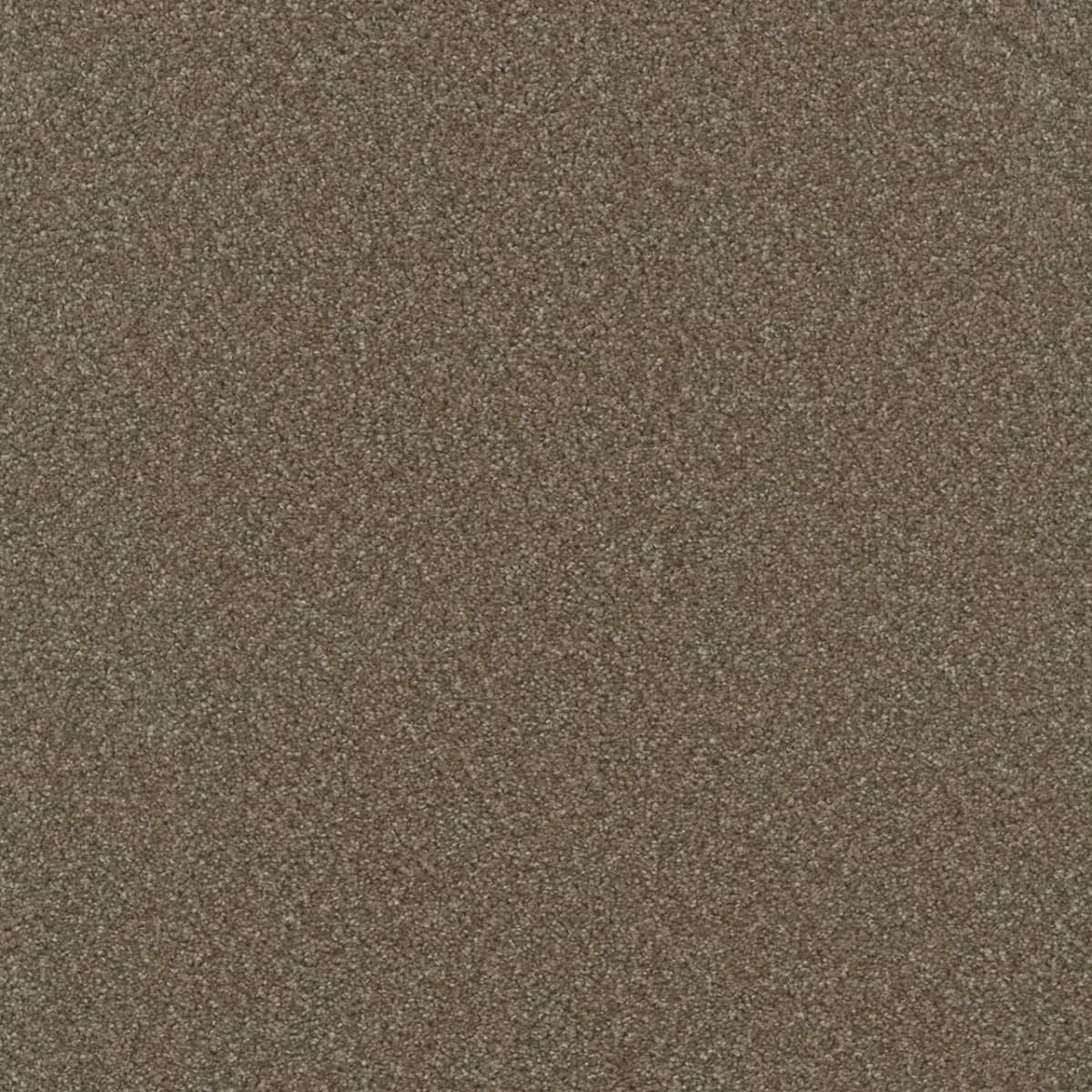 Broadcast — Chestnut swatch