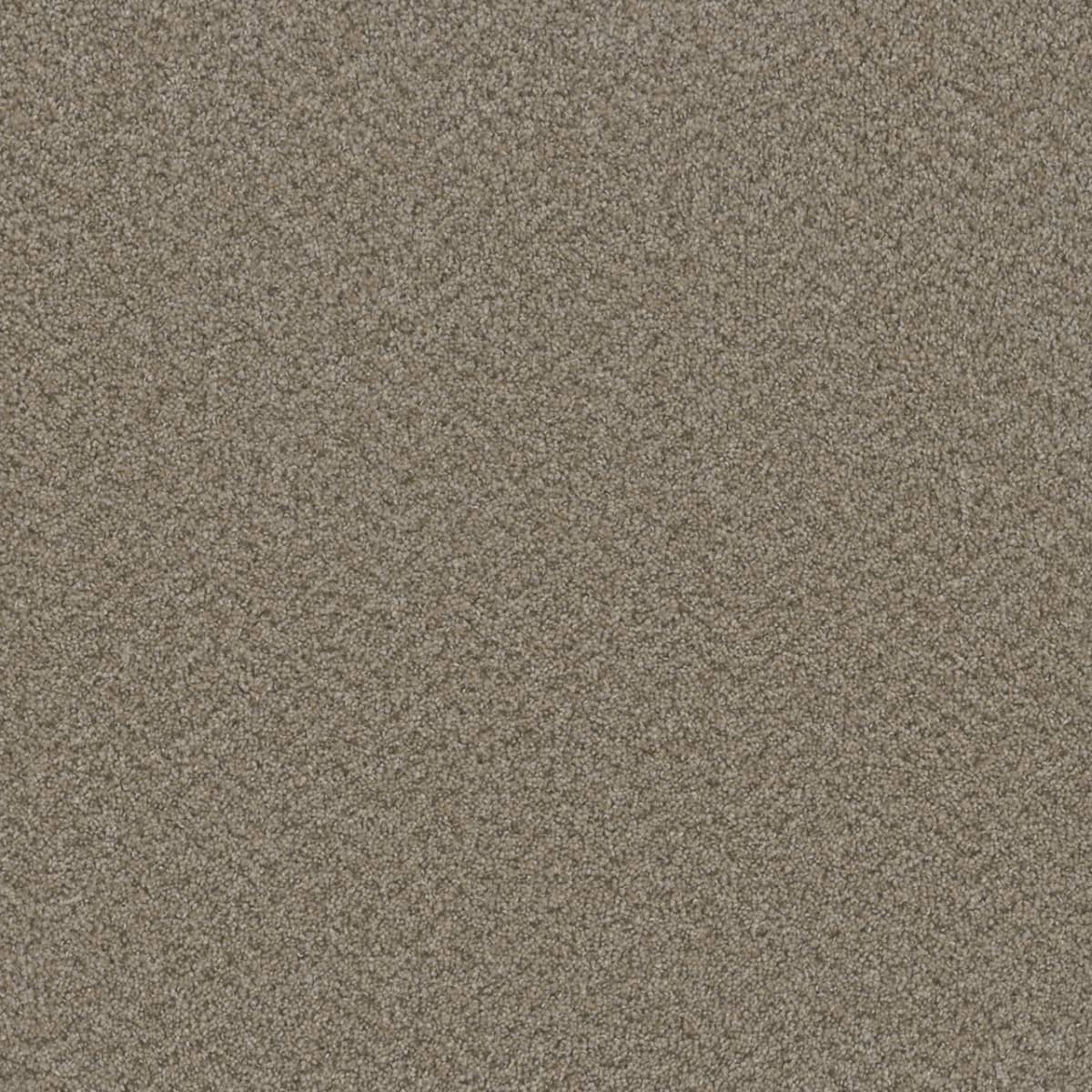 Broadcast — Almond swatch