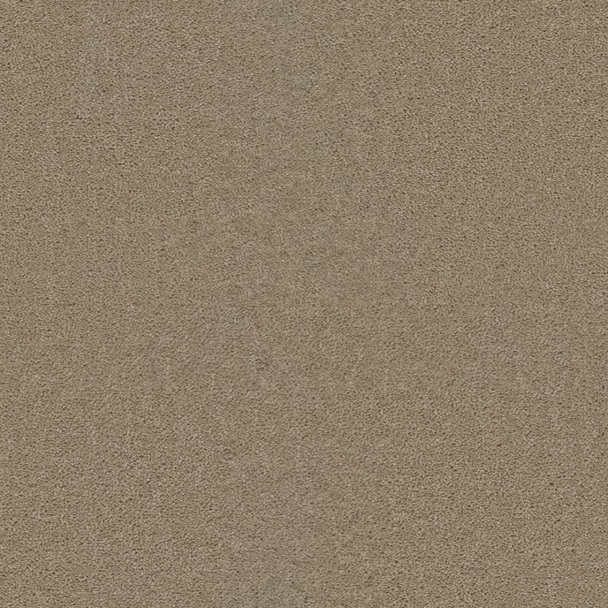 Broadcast — Caramel