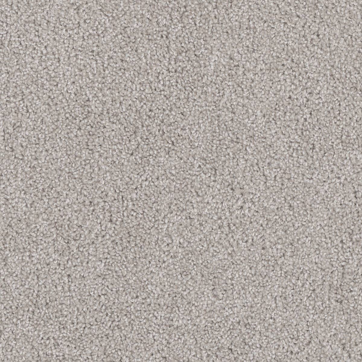 DreamWeaver Cedar Creek — Clam Shell carpet swatch