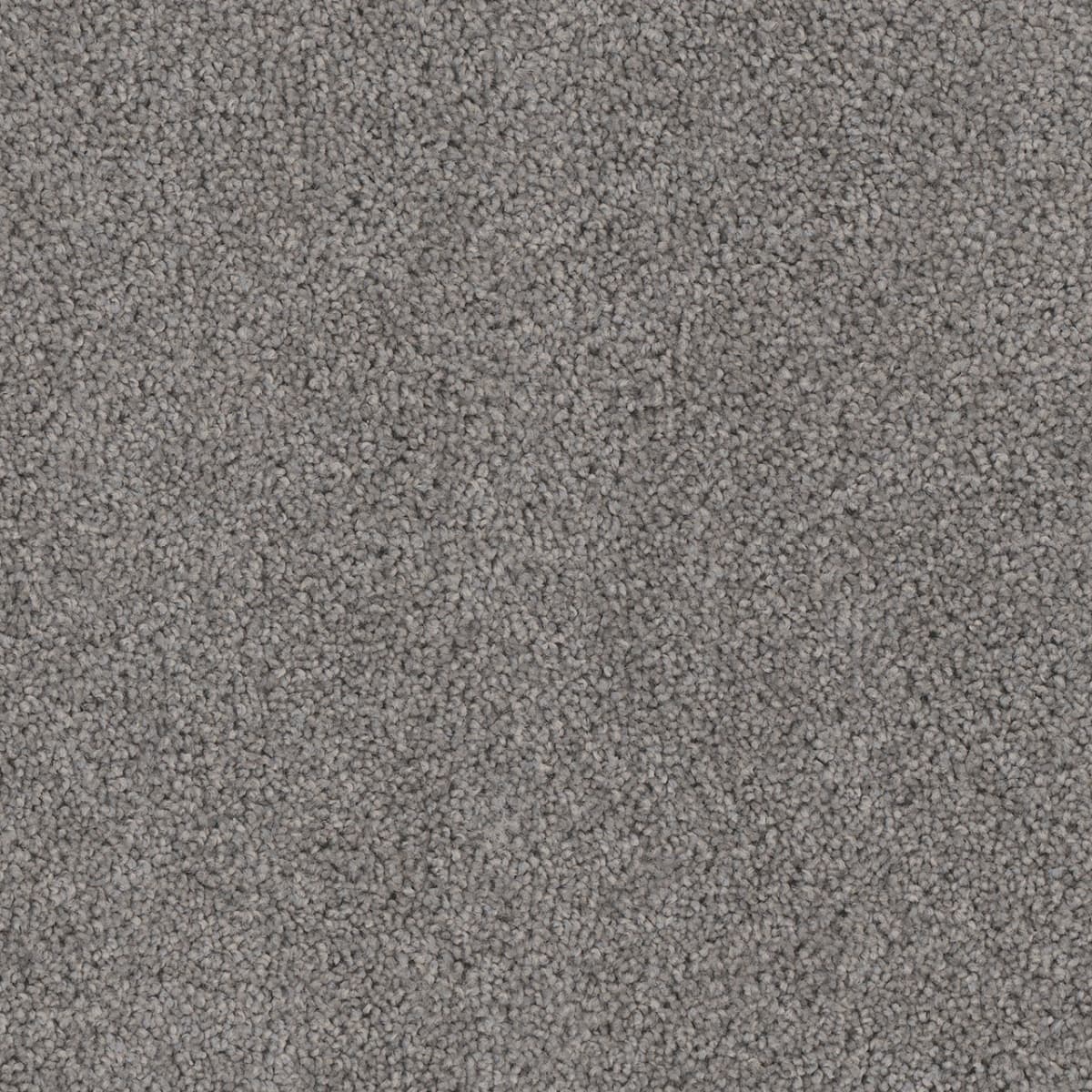 DreamWeaver Cedar Creek — Bayside carpet swatch