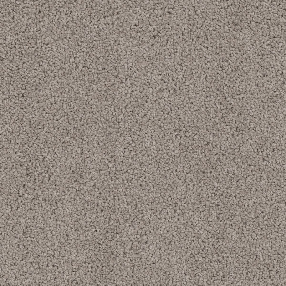 DreamWeaver Cedar Creek — Castle carpet swatch