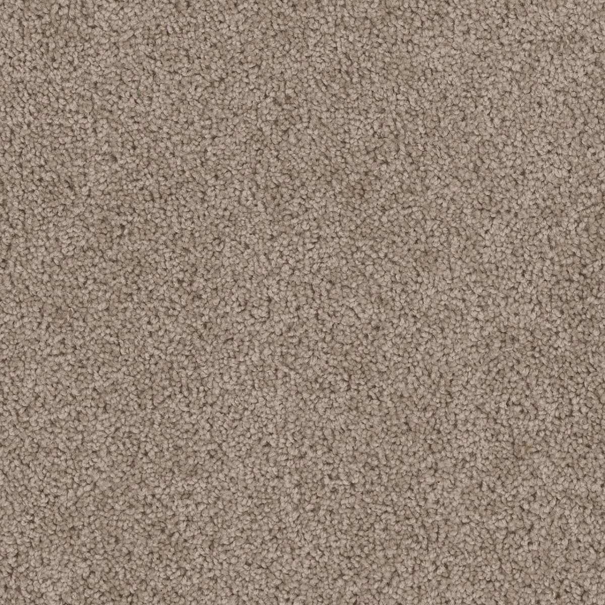 DreamWeaver Cedar Creek — Ash carpet swatch