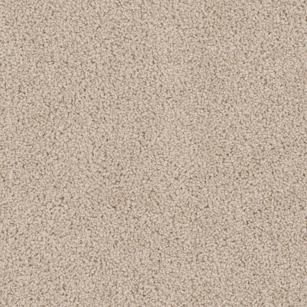 DreamWeaver Cedar Creek — Eggshell carpet swatch