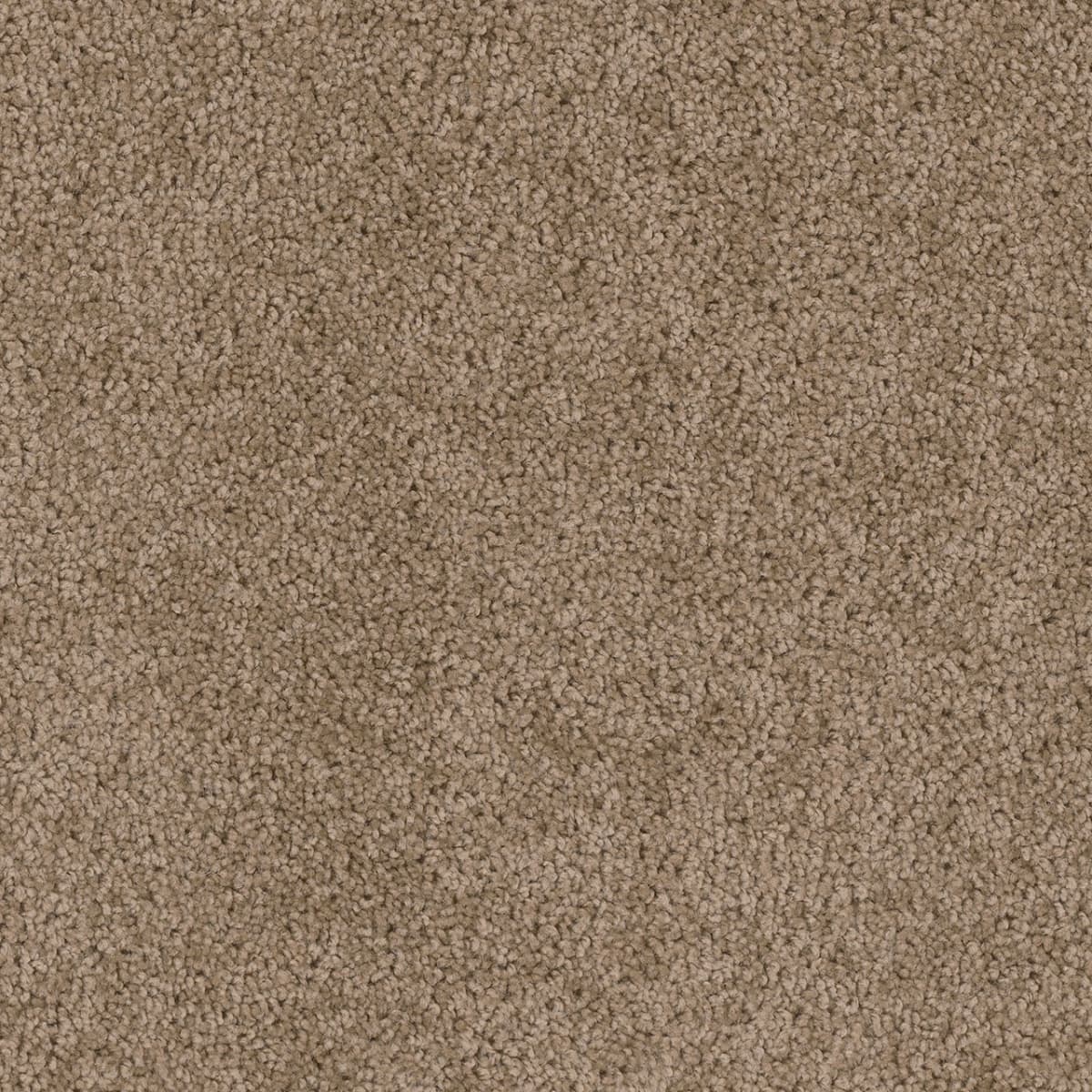 DreamWeaver Cedar Creek — Dove carpet swatch