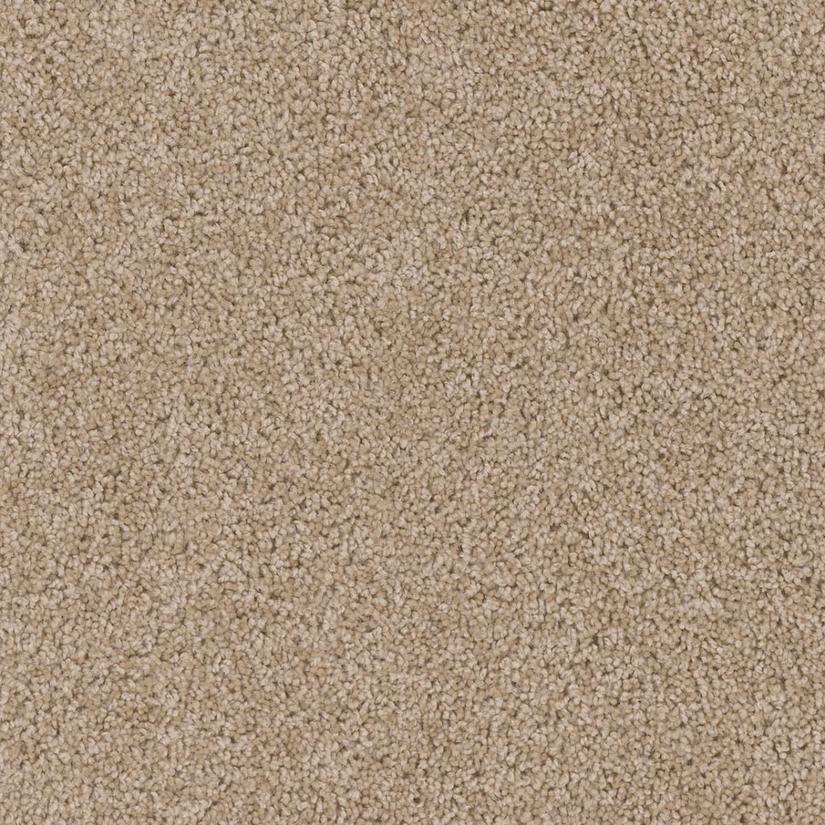 DreamWeaver Cedar Creek — Camel carpet swatch