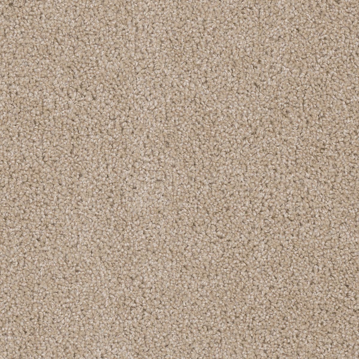 DreamWeaver Cedar Creek — Cashmere carpet swatch