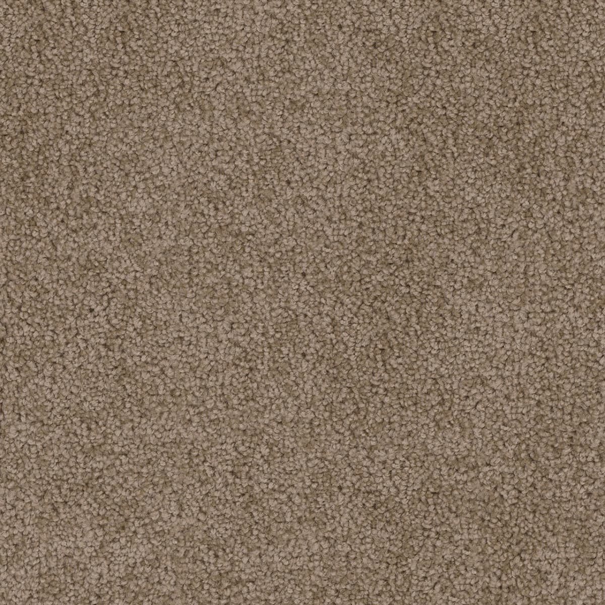 DreamWeaver Cedar Creek — Taupe carpet swatch