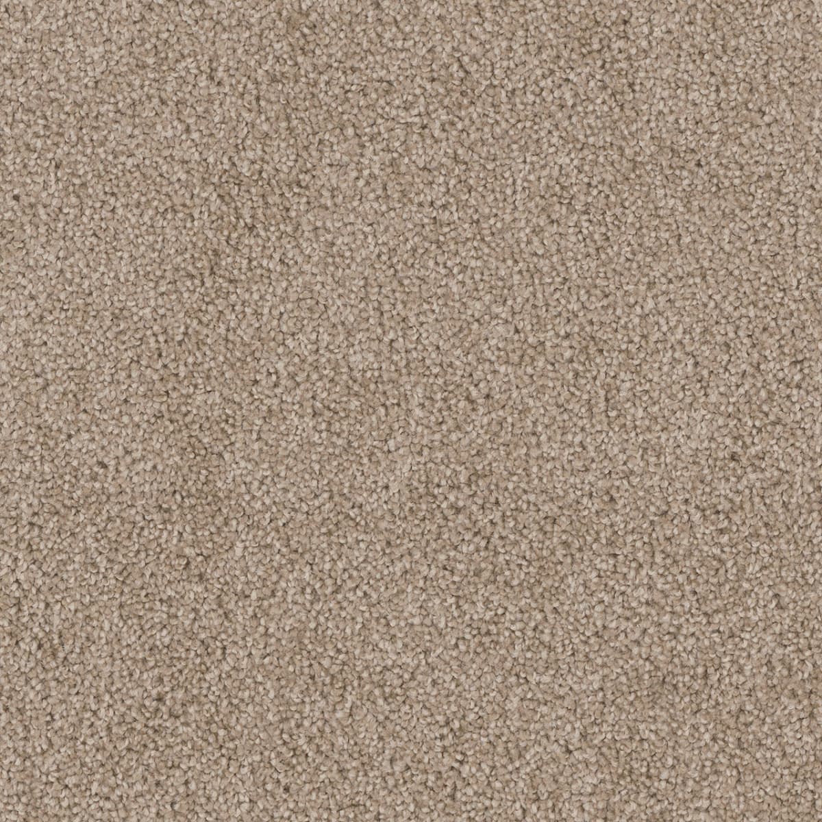 DreamWeaver Cedar Creek — Canyon Cliffs carpet swatch