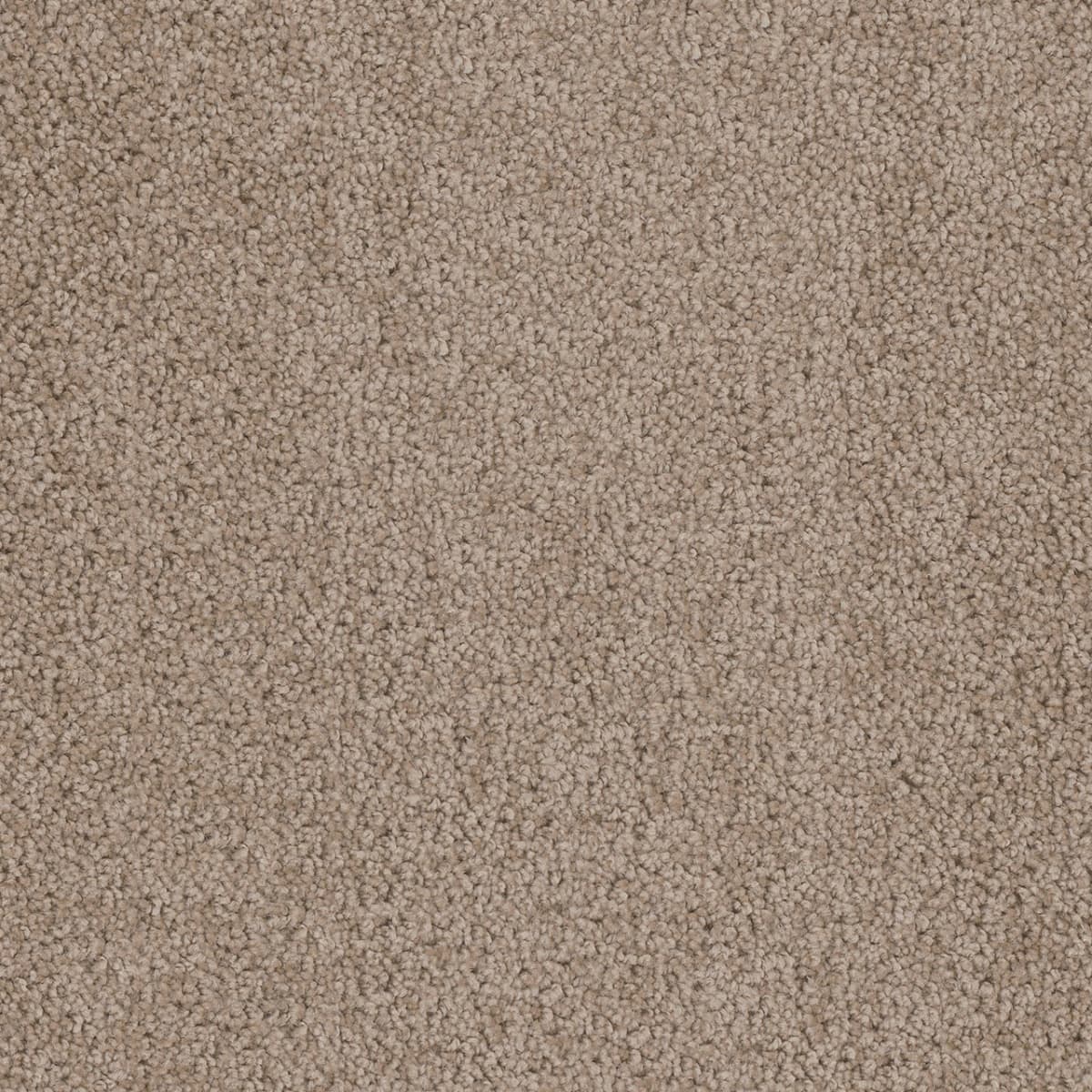 DreamWeaver Cedar Creek — Doeskin carpet swatch
