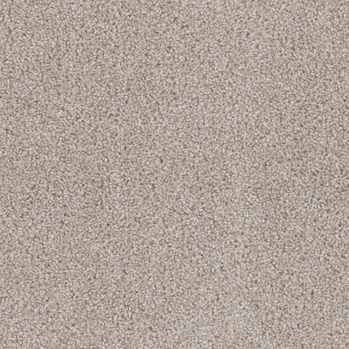 DreamWeaver Cedar Creek — Cameo carpet swatch
