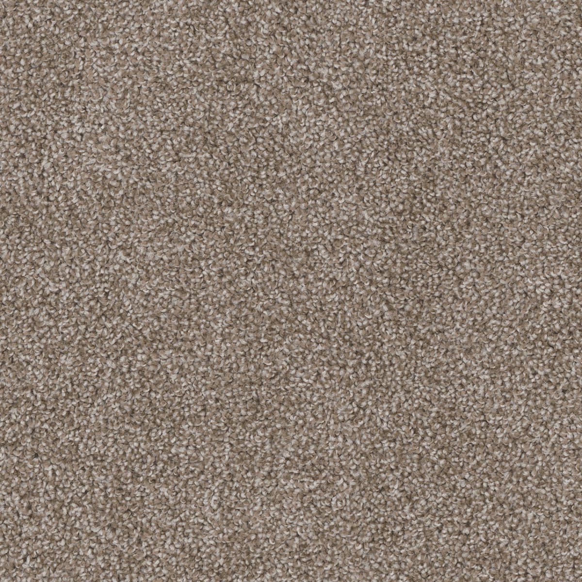 DreamWeaver Cedar Creek — Harbor carpet swatch