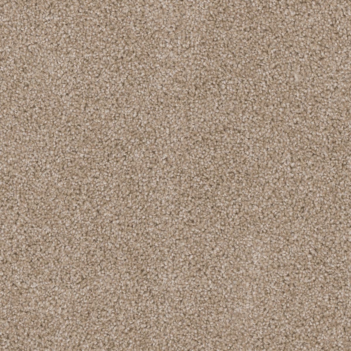 DreamWeaver Cedar Creek — Sawgrass carpet swatch